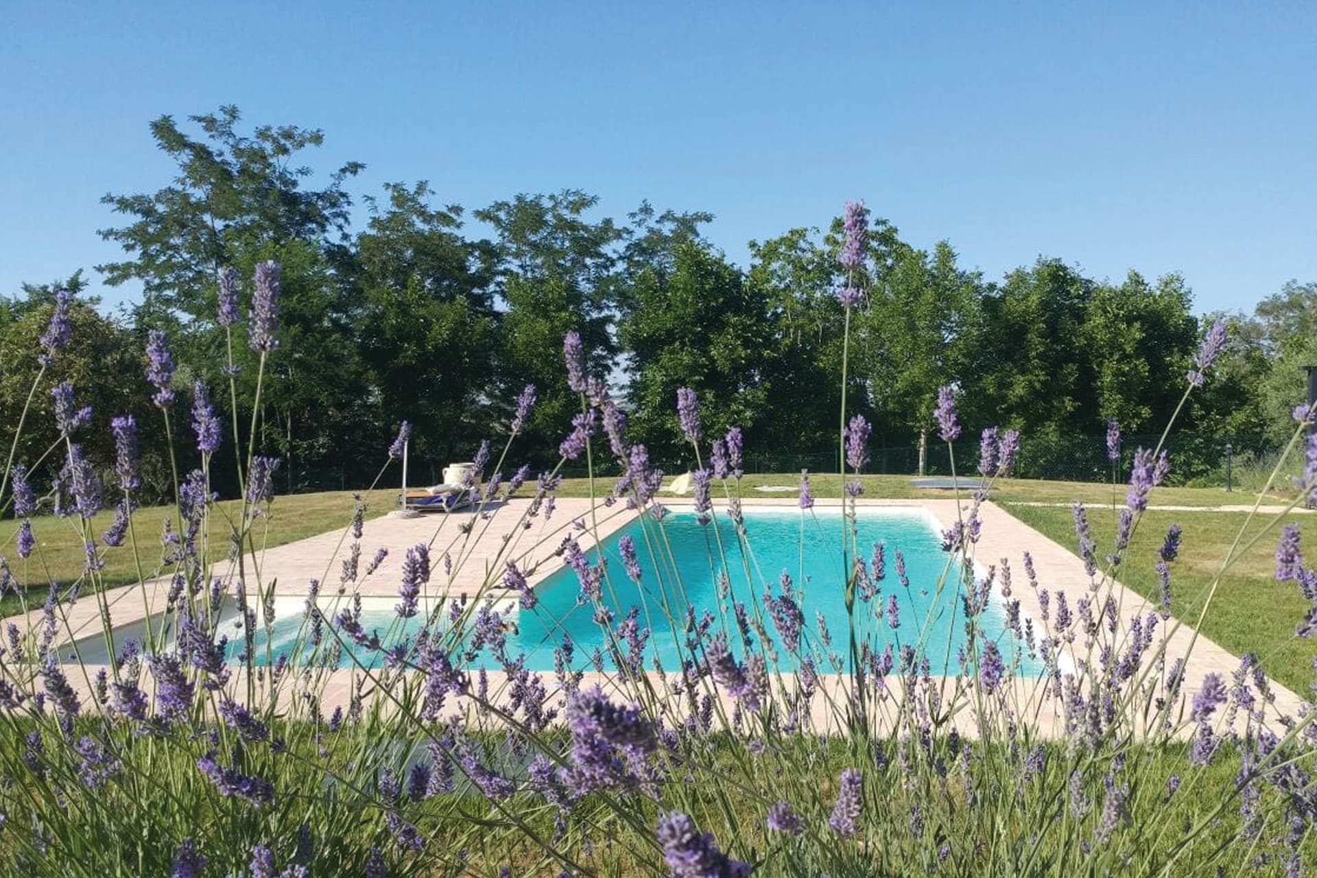 descrizione immagine