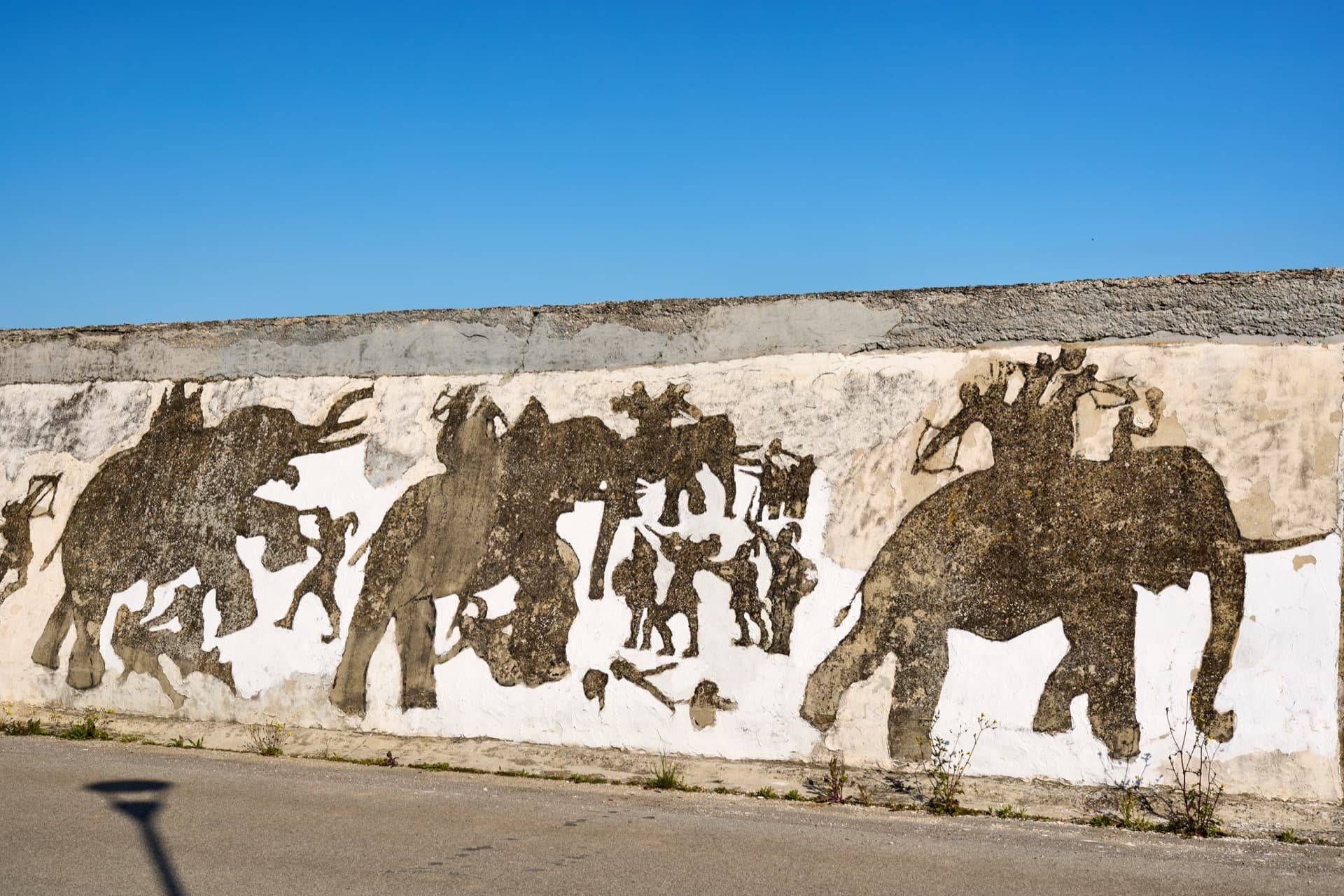 descrizione immagine