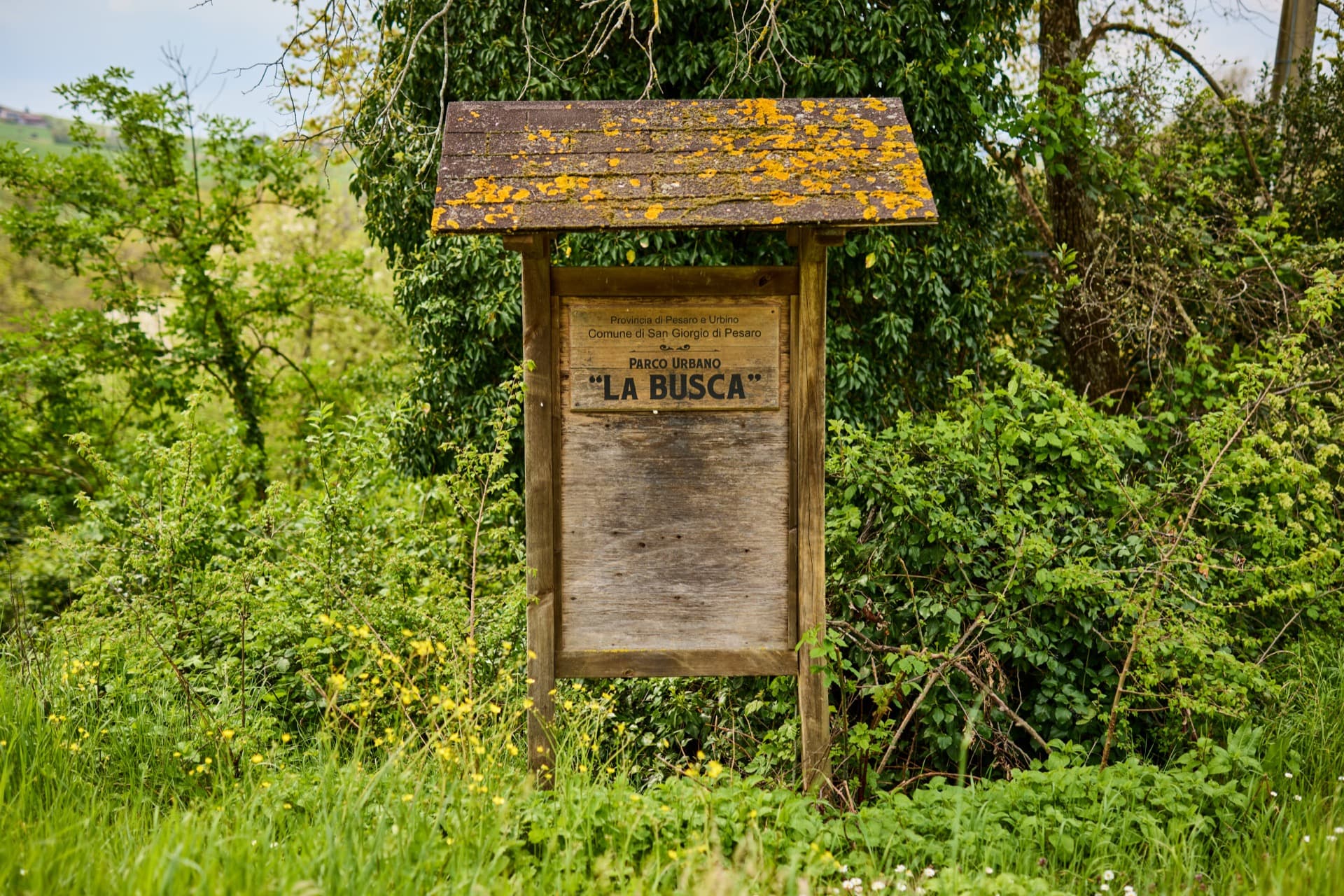 descrizione immagine