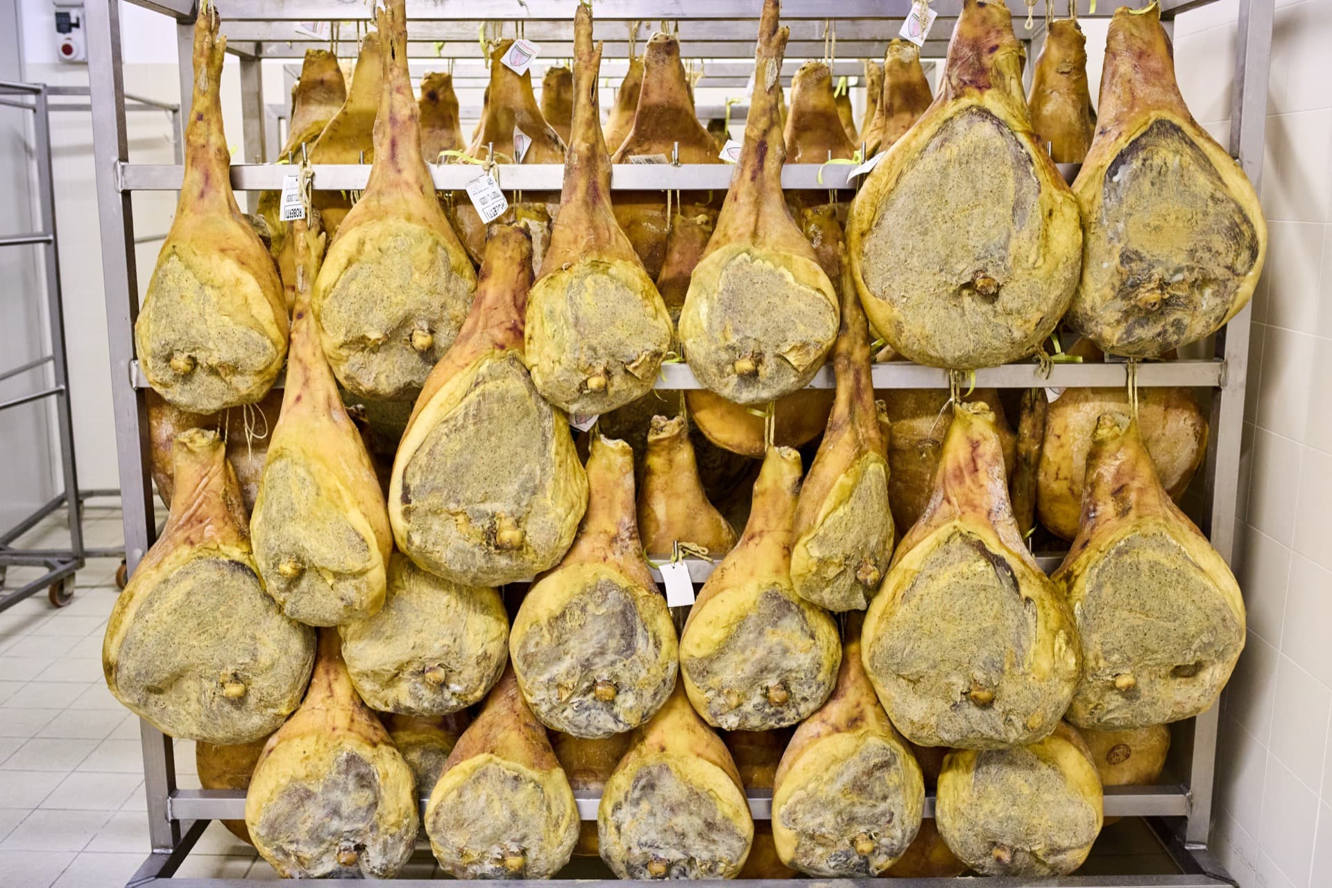 descrizione immagine