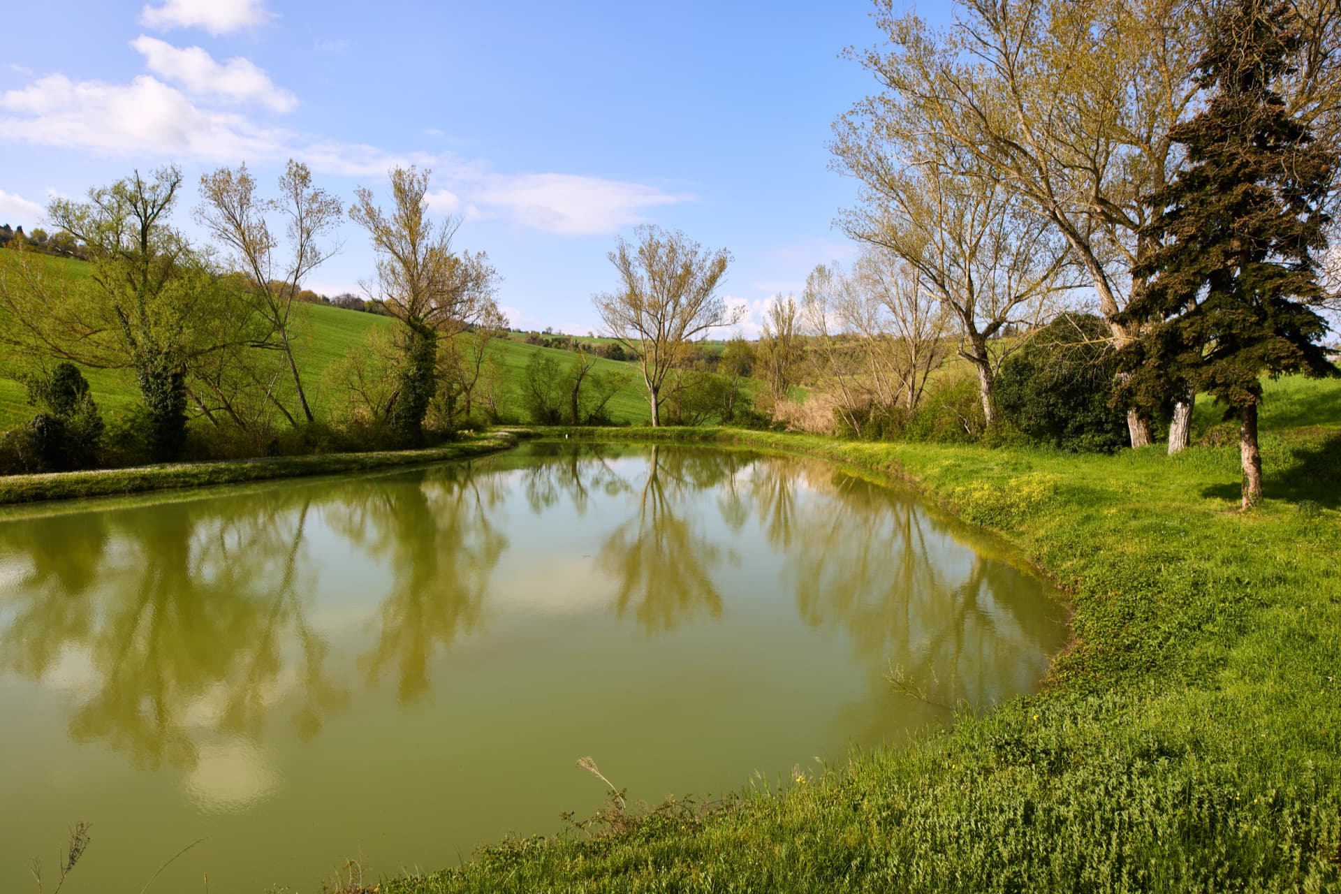 descrizione immagine