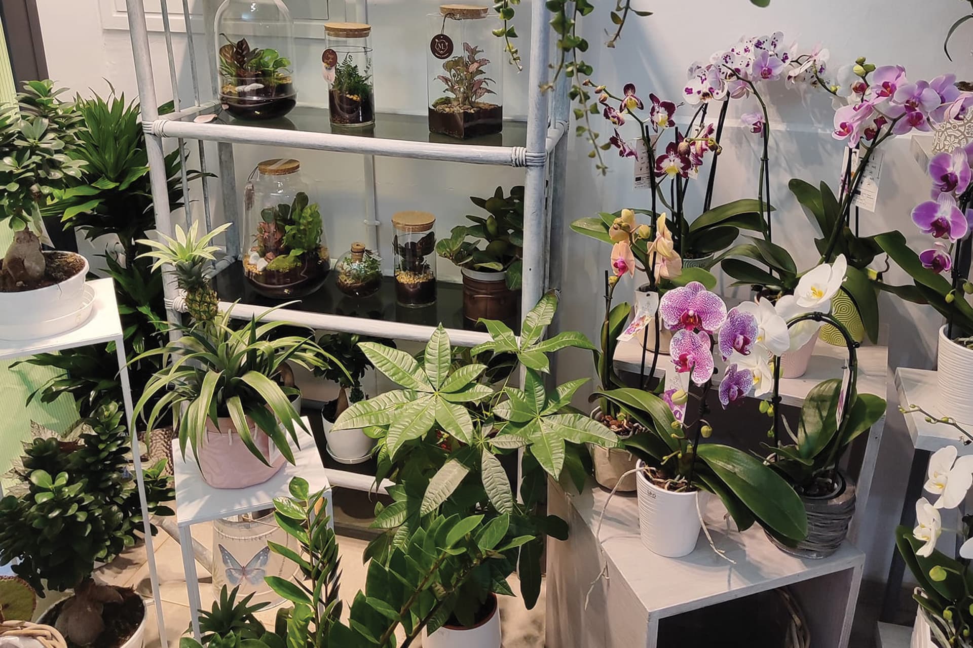 descrizione immagine